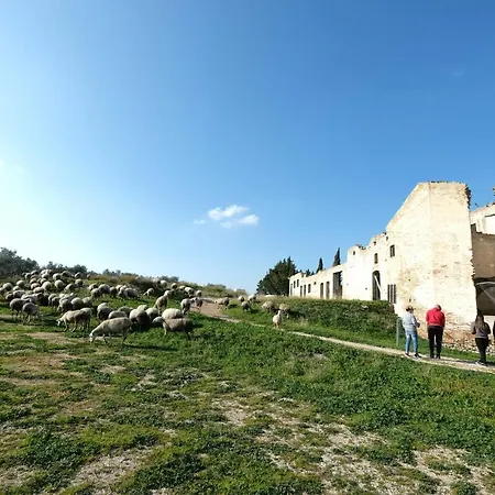 Masseria Sant'agapito Farm stay Lucera