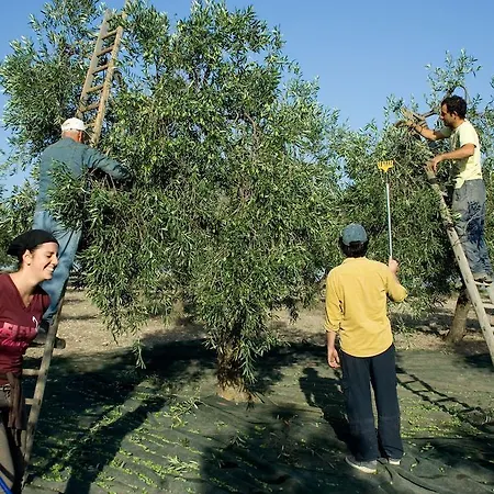 Masseria Sant'agapito Lucera