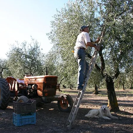Bauernhof Masseria Sant'agapito *